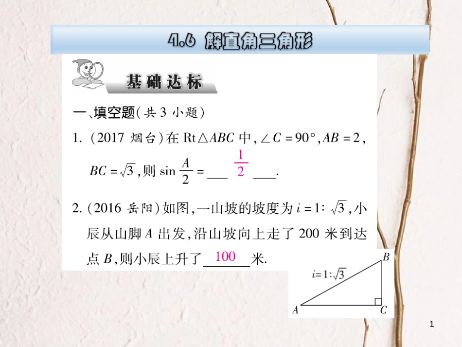 云南省中考数学总复习 第四章 三角形 4.6 解直角三角形课件_第1页
