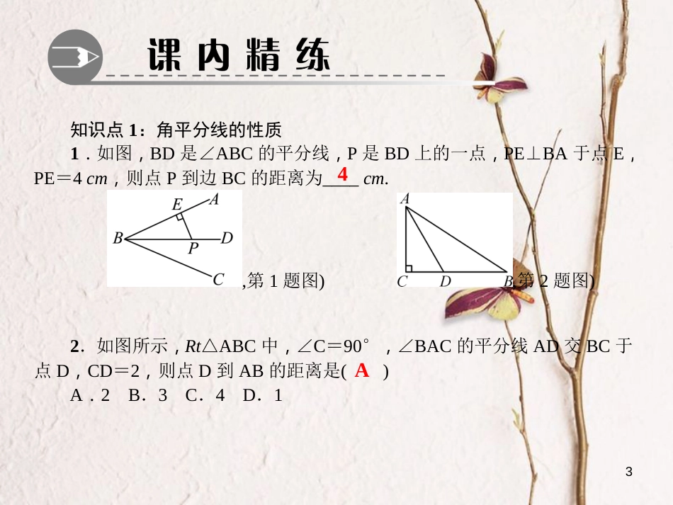 八年级数学下册 第一章 三角形的证明 4 角平分线 第1课时 角平分线作业课件 （新版）北师大版_第3页