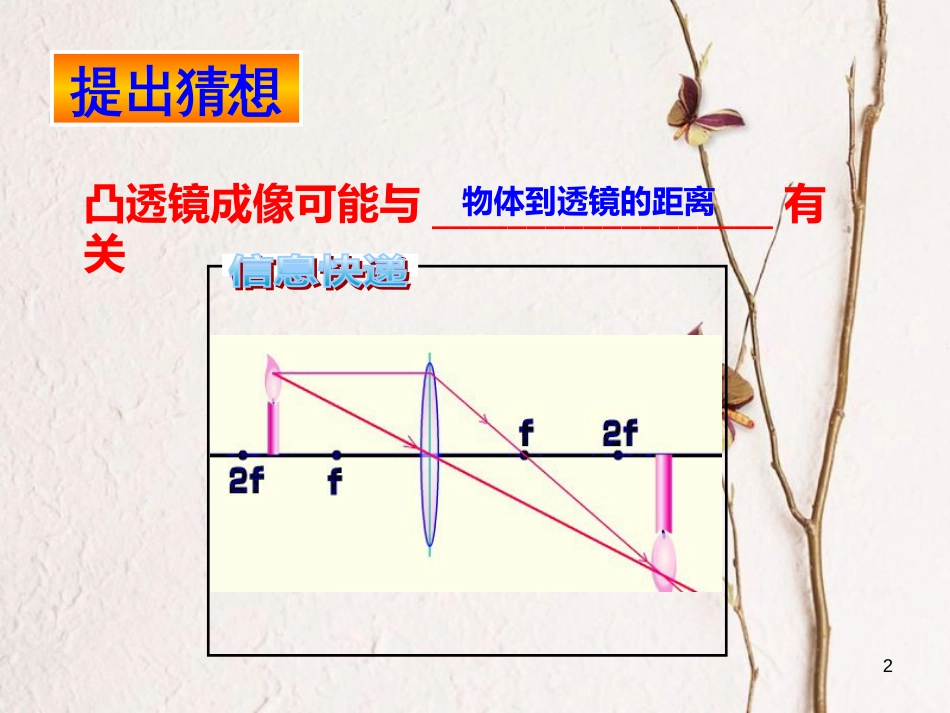 山东省新泰市中考物理 凸透镜成像规律复习课件 新人教版_第2页