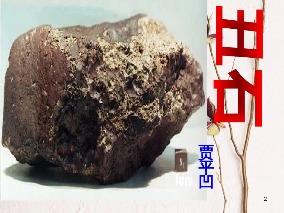 八年级语文上册 第五单元 17《丑石》课件2 北京课改版_第2页