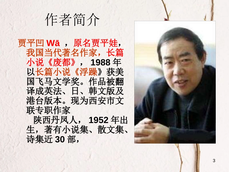八年级语文上册 第五单元 17《丑石》课件2 北京课改版_第3页