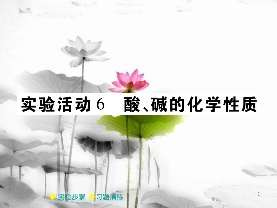 年春九年级化学下册 第十章 酸和碱 实验活动6 酸、碱的化学性质课件 （新版）新人教版_第1页