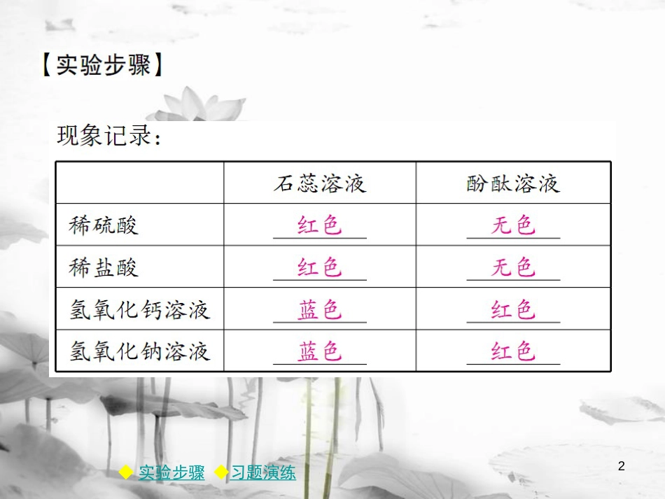 年春九年级化学下册 第十章 酸和碱 实验活动6 酸、碱的化学性质课件 （新版）新人教版_第2页