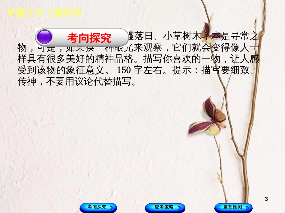 （浙江专用）中考语文 专题复习十六 微写作课件 新人教版_第3页