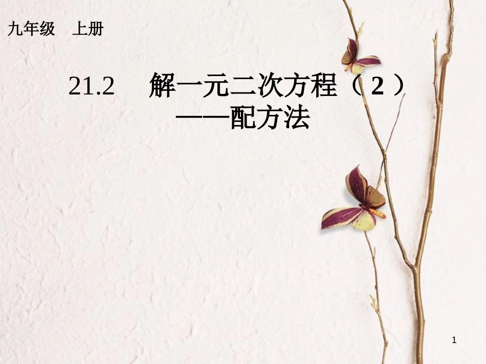 内蒙古鄂尔多斯市康巴什新区九年级数学上册 第21章 一元二次方程 21.2 解一元二次方程（2）—配方法课件 （新版）新人教版_第1页