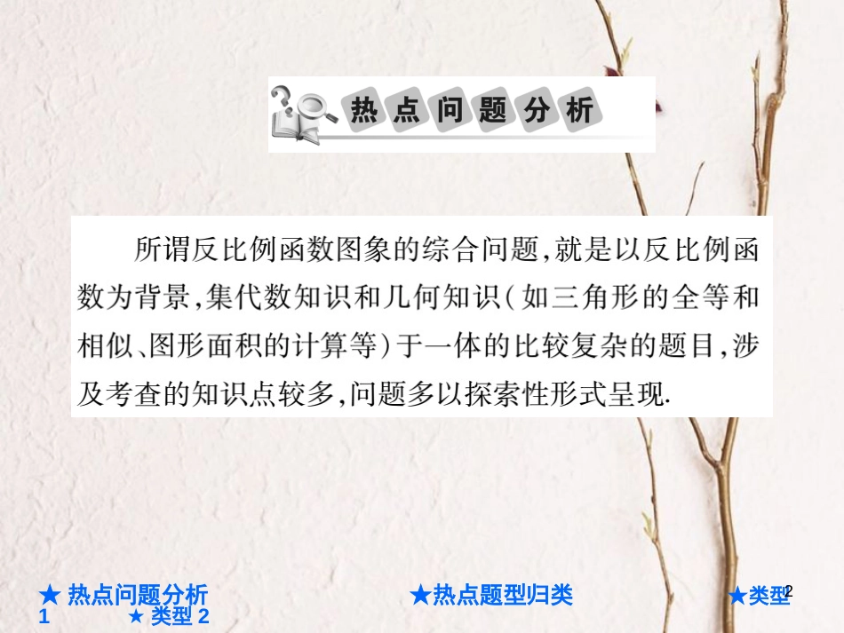 中考数学总复习 第二部分 重点专题提升 专题六 反比例函数图象的综合课件_第2页