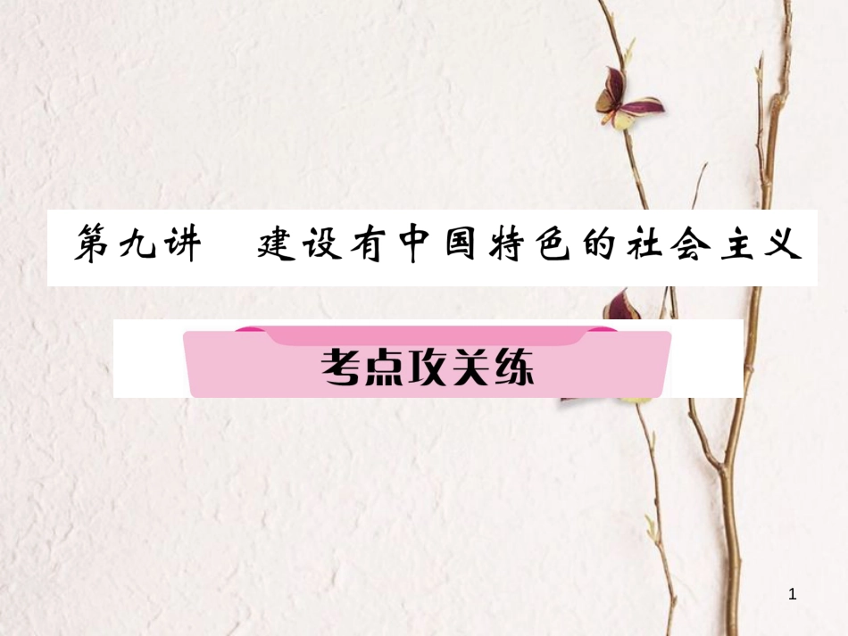 （河北专版）中考历史总复习 第9讲 建设有中国特色的社会主义考点攻关练课件_第1页