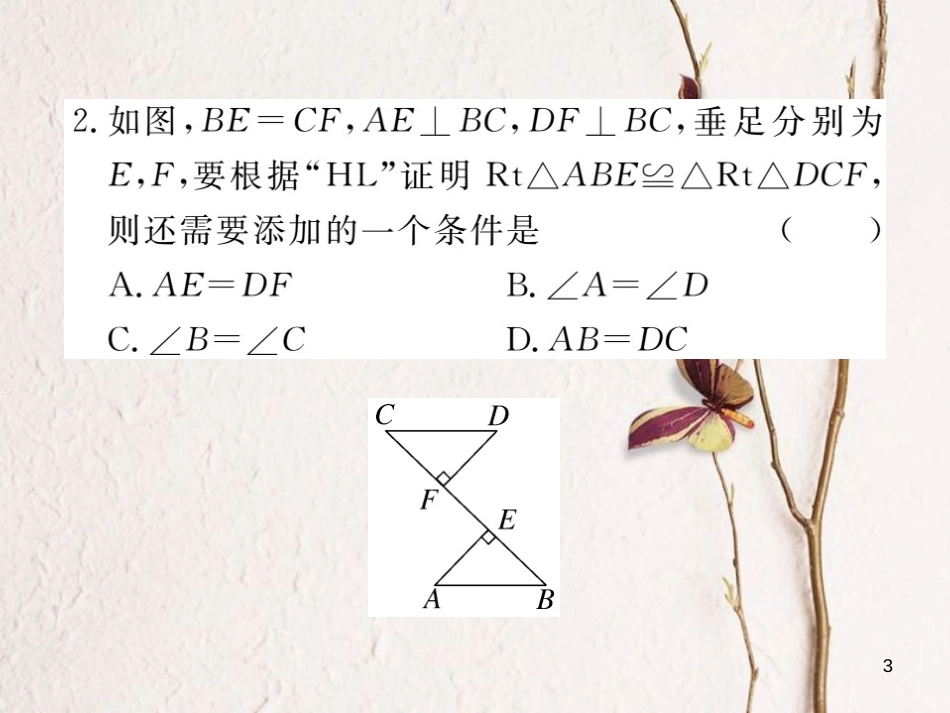 （贵州专用）八年级数学上册 12.2 三角形全等的判定 第4课时“斜边、直角边”课件 （新版）新人教版_第3页