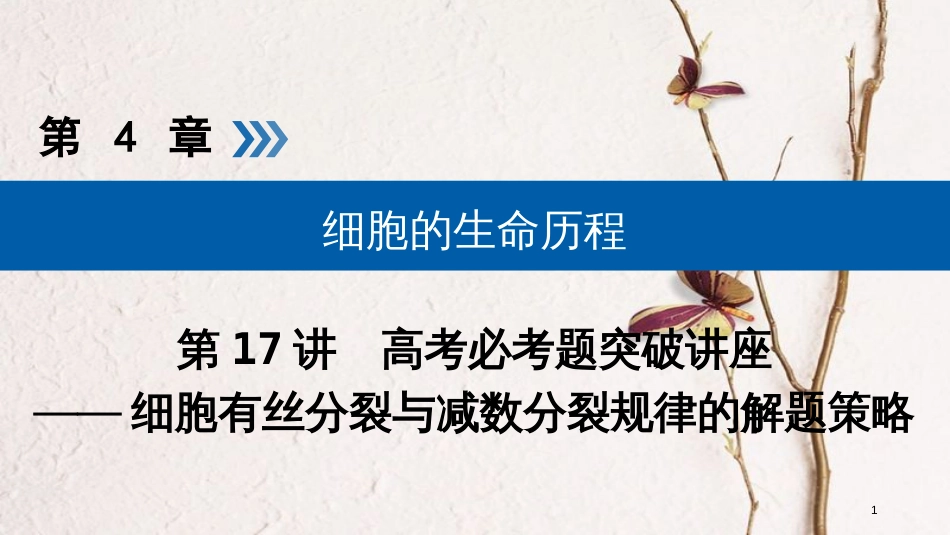 2019版高考生物大一轮复习 第17讲 细胞有丝分裂与减数分裂规律的解题策略优选课件_第1页