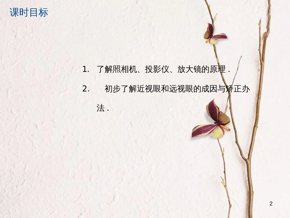 江苏省大丰市中考物理第8课时凸透镜成像的应用视力的矫正复习课件_第2页