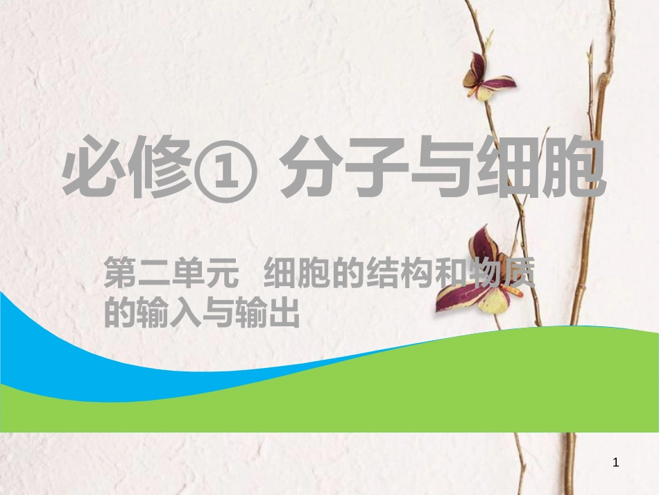 （全国通用版）2019版高考生物一轮复习 第1部分 分子与细胞 第二单元 细胞的结构和物质的输入与输出 第1讲 细胞膜（含生物膜的流动镶嵌模型）与细胞核课件_第1页