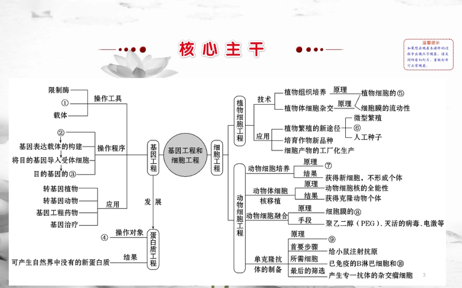 届高三生物二轮复习 2.15.1 基因工程（含PCR技术）和细胞工程课件_第3页