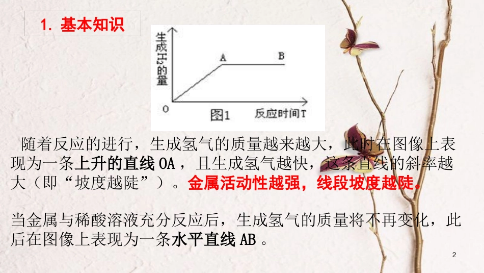 广东省深圳市龙华新区九年级化学下册 金属与酸的反应专题课件 （新版）新人教版_第2页