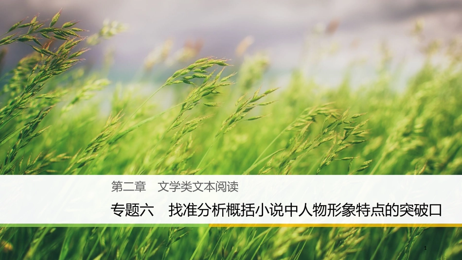 （全国通用）高考语文大二轮复习与增分策略 第二章 文学类文本阅读 专题六 找准分析概括小说中人物形象特点的突破口课件_第1页