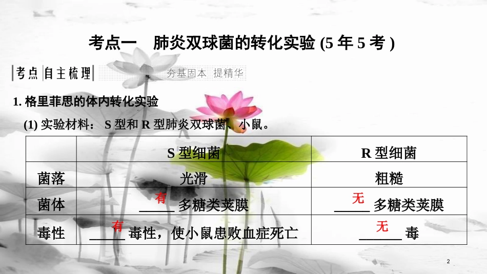 届高考生物一轮复习 第六单元 遗传的分子基础 第17讲 人类对遗传物质的探索过程课件_第2页