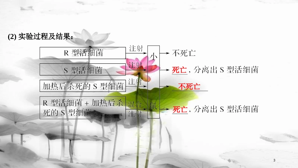 届高考生物一轮复习 第六单元 遗传的分子基础 第17讲 人类对遗传物质的探索过程课件_第3页