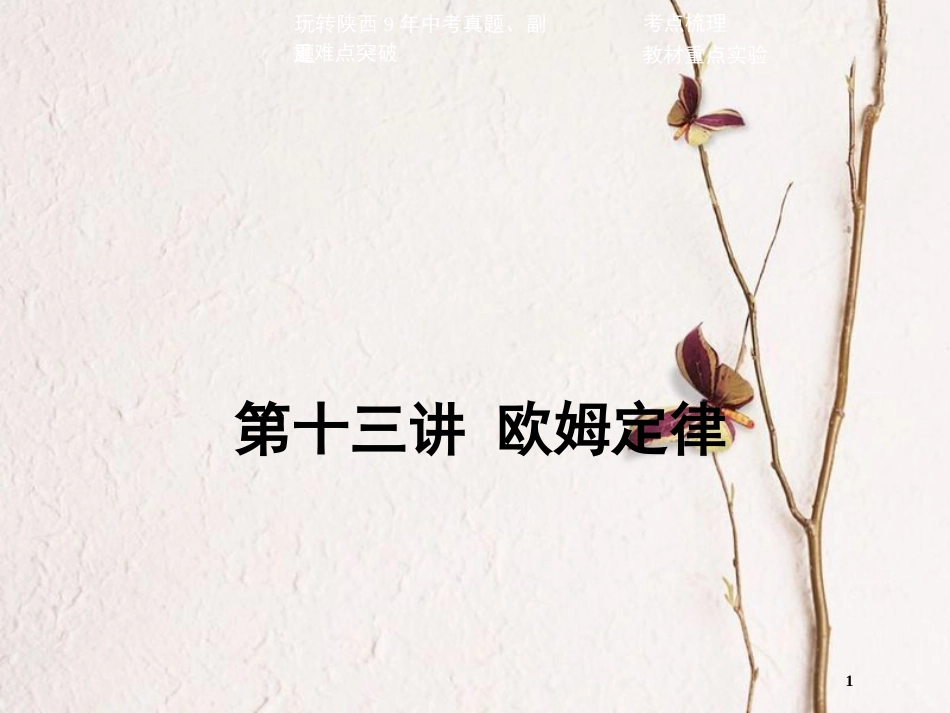 中考物理二轮复习 第十三讲 欧姆定律课件_第1页