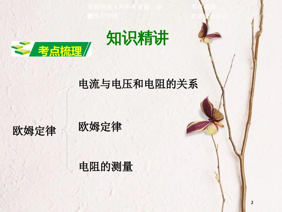 中考物理二轮复习 第十三讲 欧姆定律课件_第2页