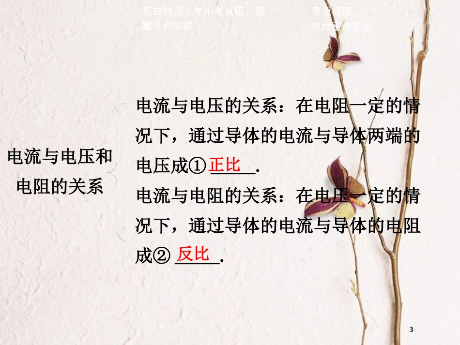 中考物理二轮复习 第十三讲 欧姆定律课件_第3页
