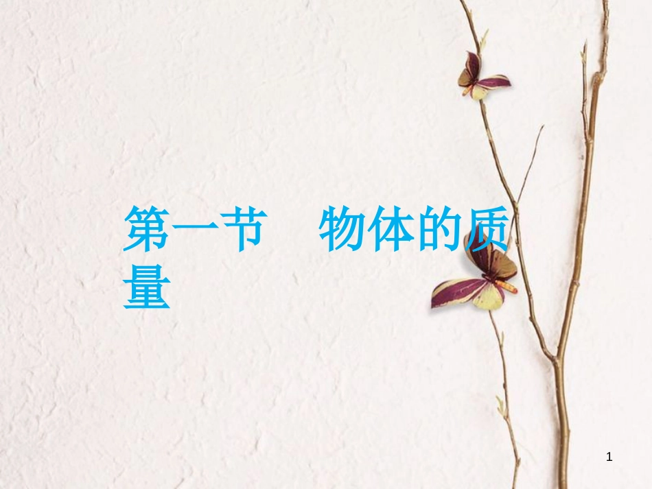 八年级物理上册 5.1 物体的质量课件3 （新版）粤教沪版_第1页