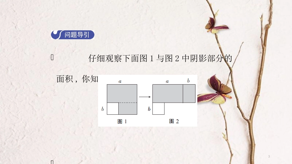八年级数学下册 第四章 因式分解 4.3 公式法（第1课时）导学课件 （新版）北师大版_第3页