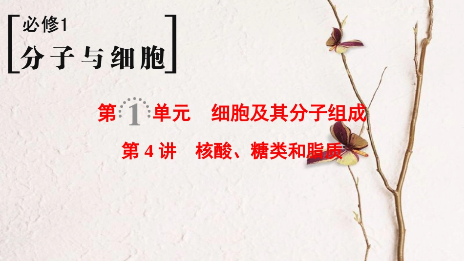 （全国版）2019版高考生物一轮复习 第1单元 细胞及其分子组成 第4讲 核酸、糖类和脂质课件_第1页