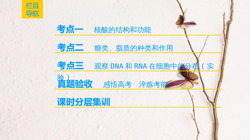 （全国版）2019版高考生物一轮复习 第1单元 细胞及其分子组成 第4讲 核酸、糖类和脂质课件_第2页