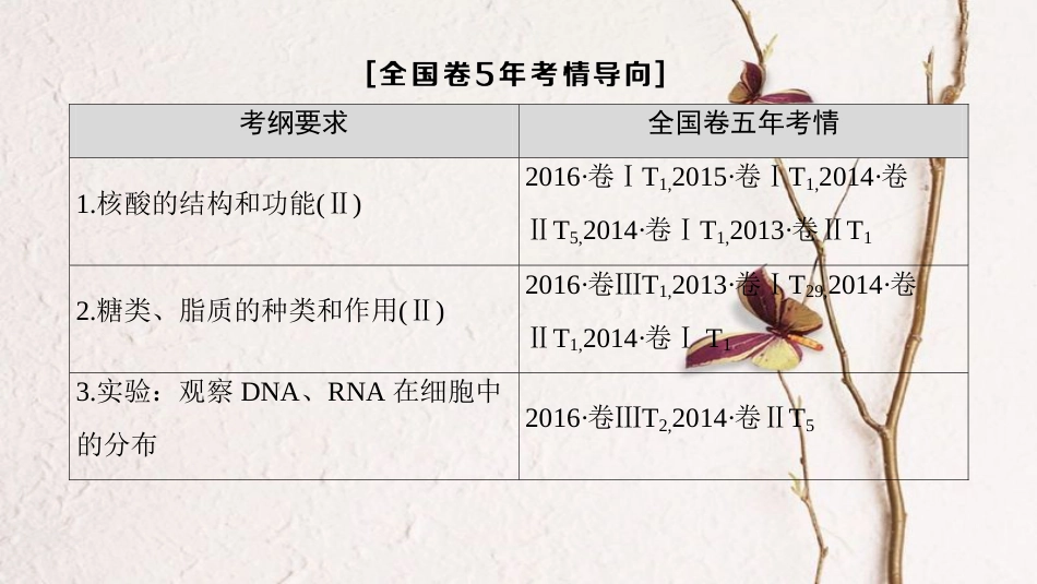 （全国版）2019版高考生物一轮复习 第1单元 细胞及其分子组成 第4讲 核酸、糖类和脂质课件_第3页