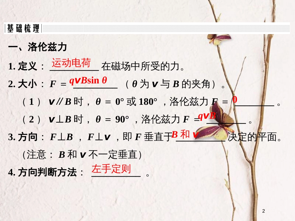 （浙江专版）2019版高考物理大一轮复习 第八章 磁场 第2课时 磁场对运动电荷的作用课件_第2页