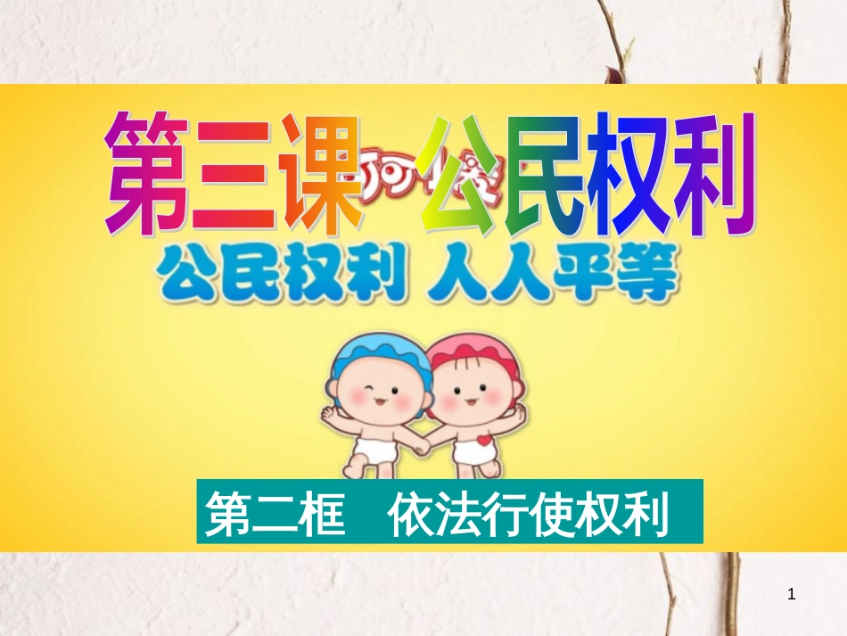 八年级道德与法治下册 第二单元 理解权利义务 第三课 公民权利 第2框 依法行使权利课件2 新人教版(1)_第1页