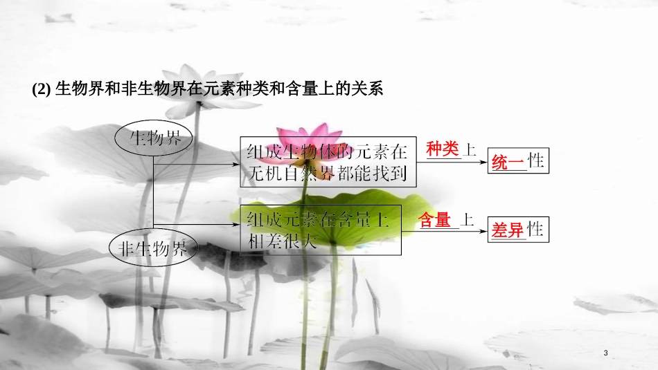 届高考生物一轮复习 第一单元 组成细胞的分子 第2讲 细胞中的元素和化合物 细胞中的无机物课件_第3页