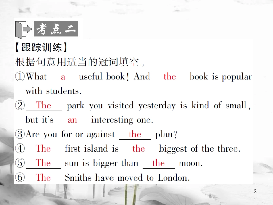 届中考英语复习 第二轮 语法突破 第三章 冠词课件_第3页