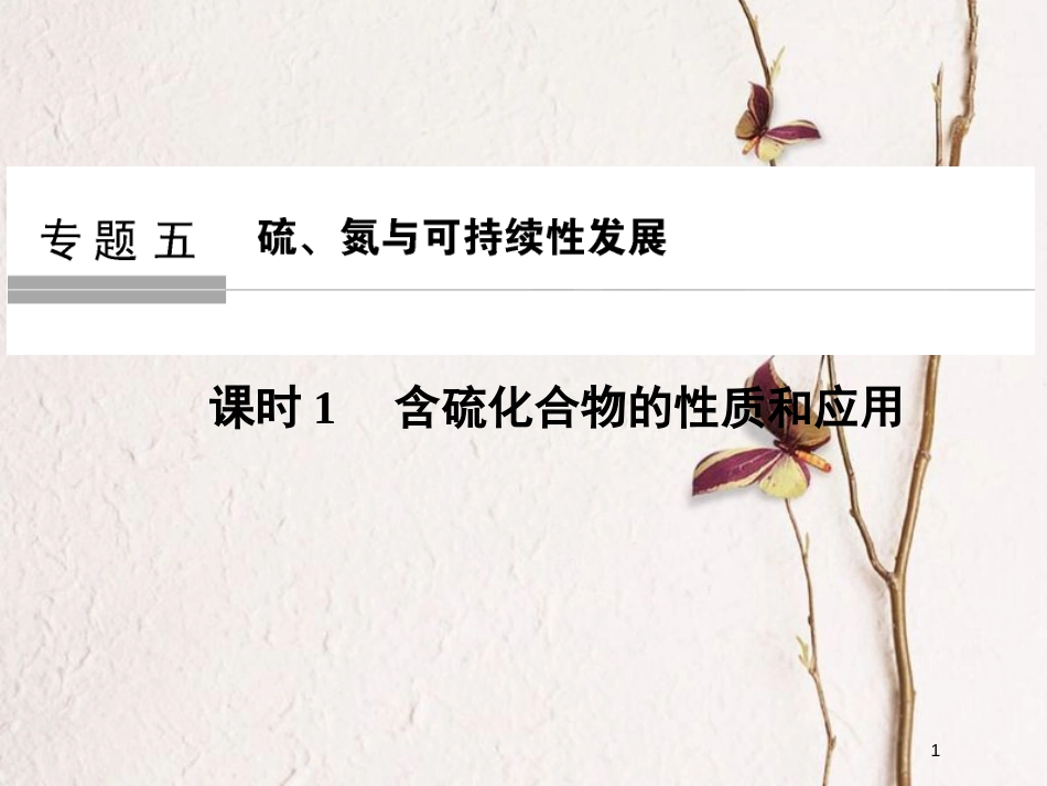 （浙江专版）2019版高考化学大一轮复习 专题五 硫、氮与可持续性发展 课时1 含硫化合物的性质和应用课件_第1页