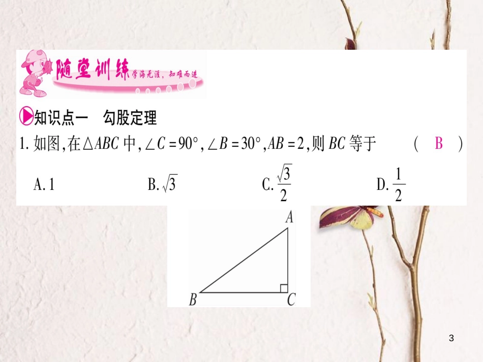 八年级数学下册 第18章 勾股定理 18.1 勾股定理习题课件 （新版）沪科版_第3页