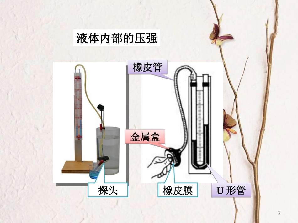 八年级物理下册 9.2 液体的压强课件 （新版）教科版[共13页]_第3页