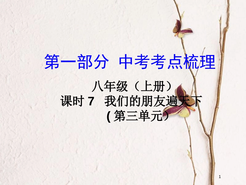 湖南省中考政治总复习 课时7 我们的朋友遍天下课件_第1页