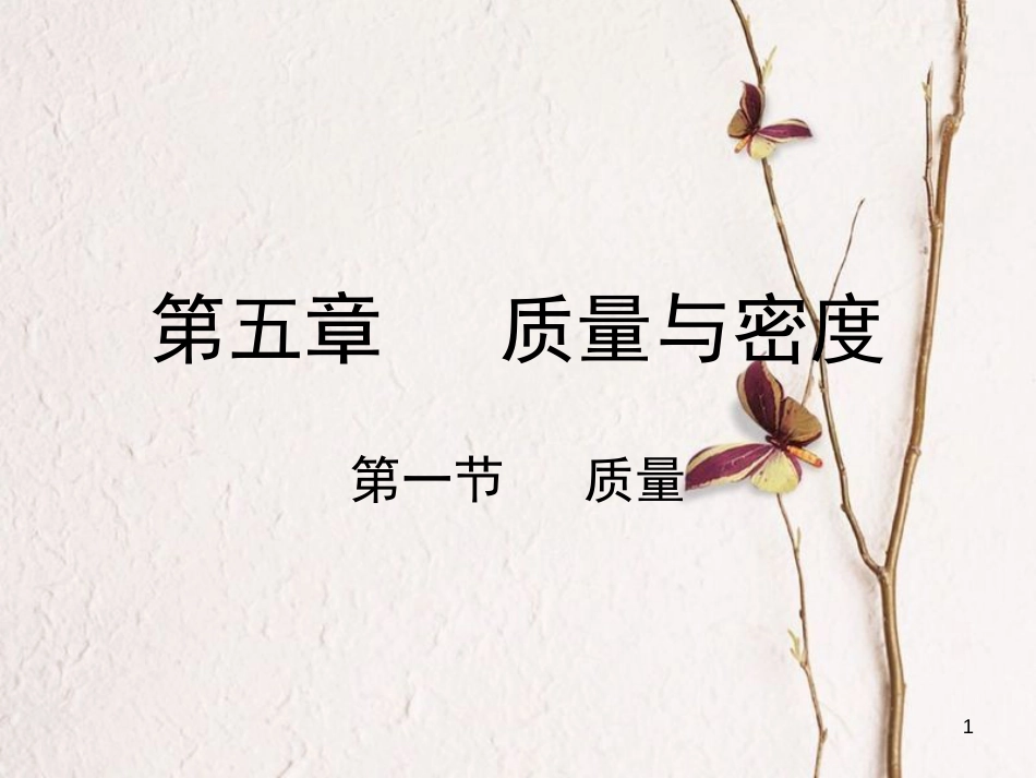 学年八年级物理全册 第五章 第一节 质量课件 （新版）沪科版_第1页