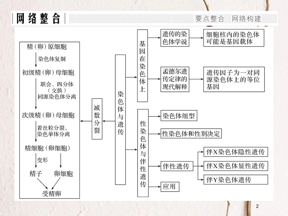 高中生物 第二章 染色体与遗传章末整合同步备课课件 浙科版必修2_第2页