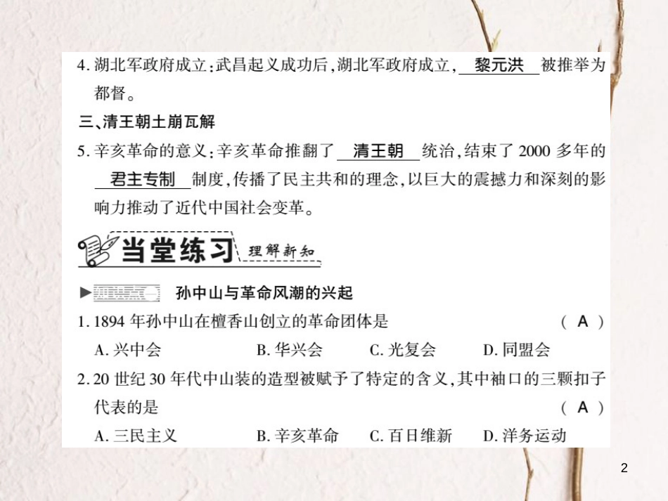 八年级历史上册 第2单元 辛亥革命与民国的创建 第8课 辛亥革命习题课件 岳麓版_第2页