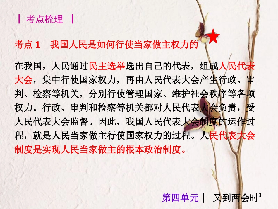 九年级政治全册 第四单元《又到两会时》复习课件 教科版_第2页