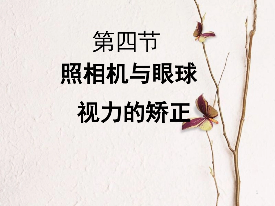 八年级物理上册 4.4《照相机与眼睛 视力矫正》课件1 （新版）苏科版_第1页