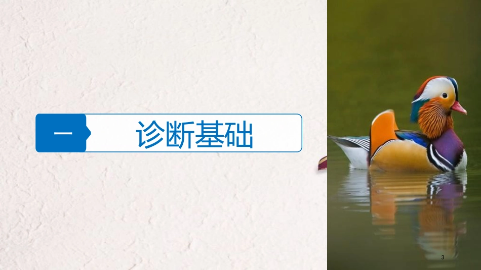（浙江选考）高三生物二轮专题复习 专题九 生物与环境 考点1 种群和群落课件 新人教版_第3页