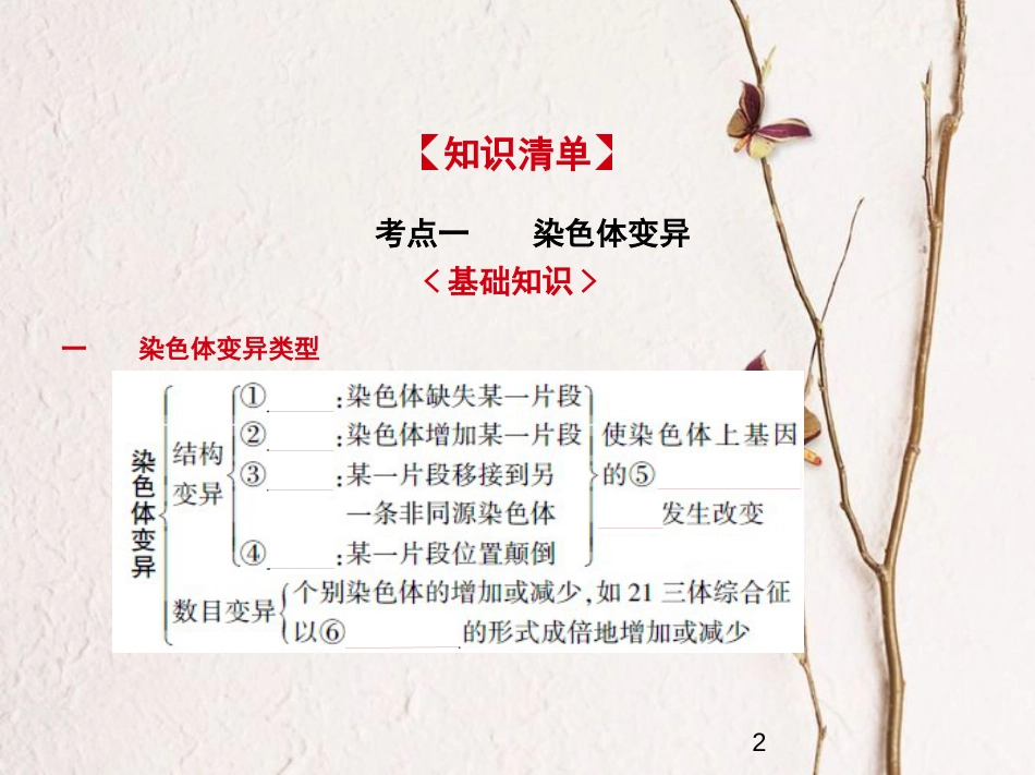 （新课标）2019版高考生物一轮复习 专题15 染色体变异与育种课件_第2页