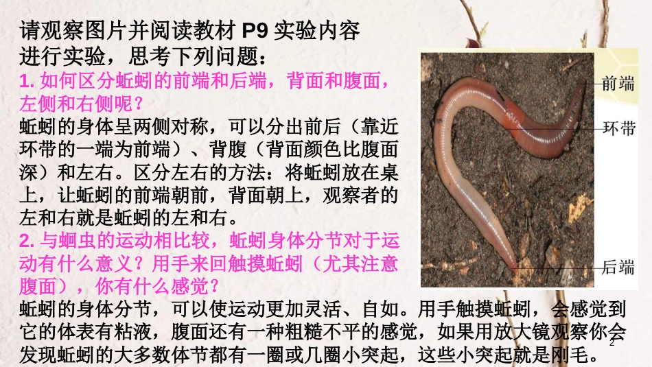 八年级生物上册 第五单元 第一章 第二节 线形动物和环节动物《环节动物》课件 （新版）新人教版_第2页