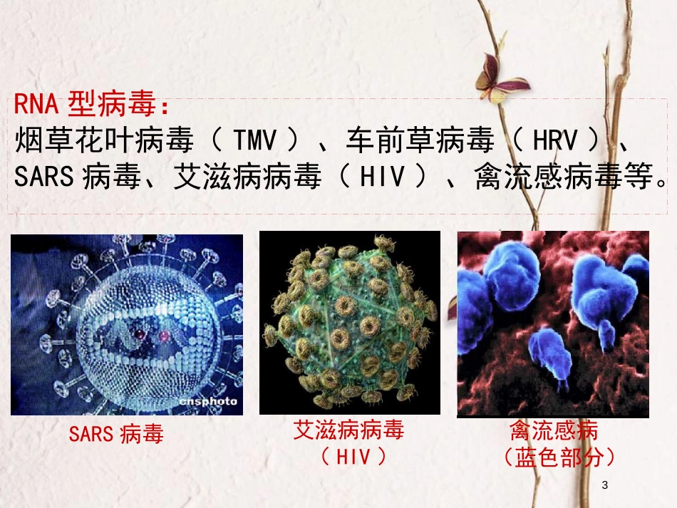 福建省南平市高中生物 第三章 基因的本质 1 DNA是主要的遗传物质 烟草花叶病毒侵染实验课件 新人教版必修2_第3页