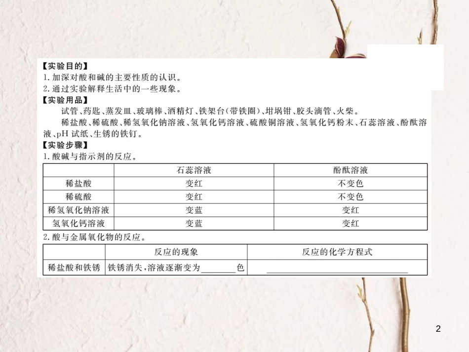 （通用）九年级化学下册 第10单元 酸和碱 实验活动6 酸、碱的化学性质（小册子）课件 （新版）新人教版_第2页