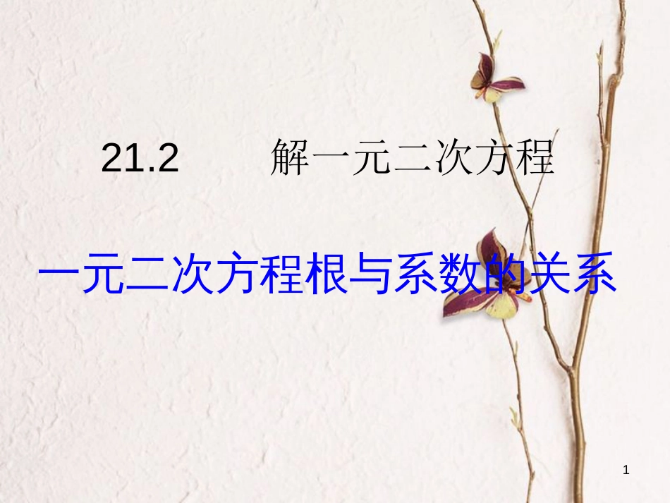 九年级数学上册 第21章 一元二次方程 21.2 解一元二次方程 一元二次方程的根与系数的关系课件 （新版）新人教版_第1页