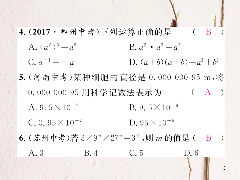 七年级数学下册 第1章 整式的乘除重难点突破作业课件 （新版）北师大版_第3页