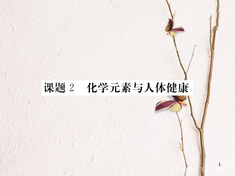 （通用）九年级化学下册 第12单元 化学与生活 课题2 化学元素与人体健康（小册子）课件 （新版）新人教版_第1页