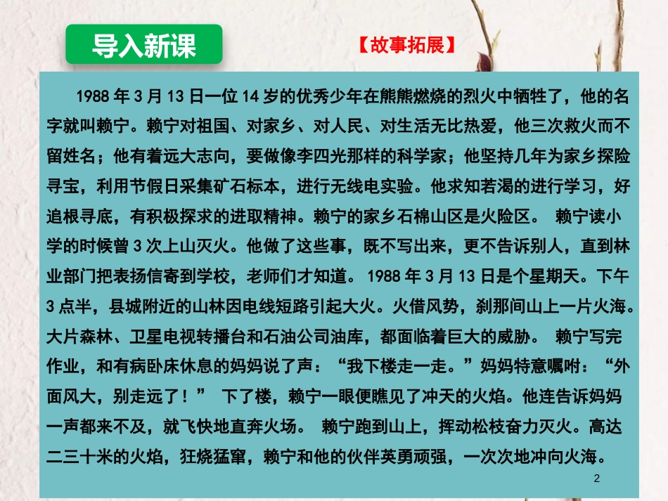 辽宁省灯塔市八年级道德与法治上册 第四单元 维护国家利益 第八课 国家利益至上 第1框 国家好 大家才会好课件 新人教版_第2页